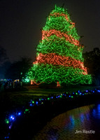 Toledo Zoo Lights Before Christmas